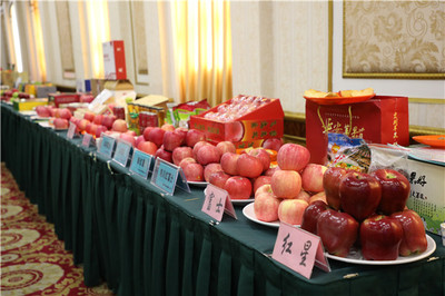 2017年陕西-东盟果品推介会 共话果业合作新篇章