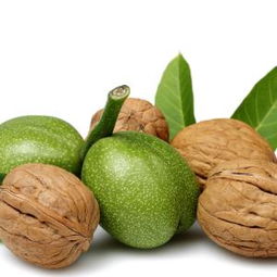 南闫果品公司深化业务布局，新增蔬菜零售业务，地址公布