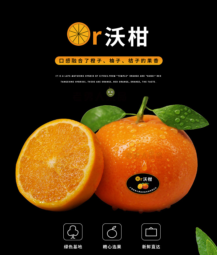 老男人果品沃柑 当精品水果遇上蔬菜零售的创新包装革命