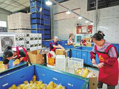 陆海新通道助力潼南柠檬出口泰国，拓展东南亚市场